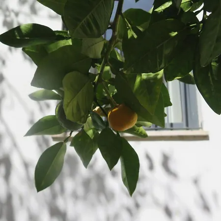 Spacious & Bright 3 Bedroom Apt, Iconic Bica Area, Historical Center アパート *